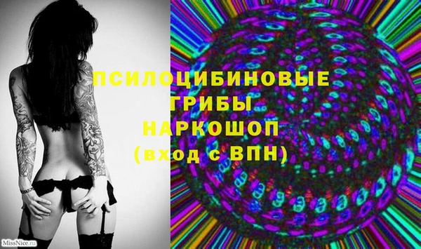 амфетамин Алексеевка