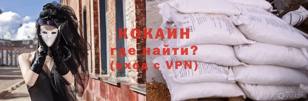 хмурый Алексин
