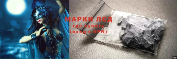 хмурый Алексин