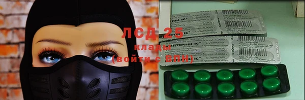 прущие грибы Алзамай