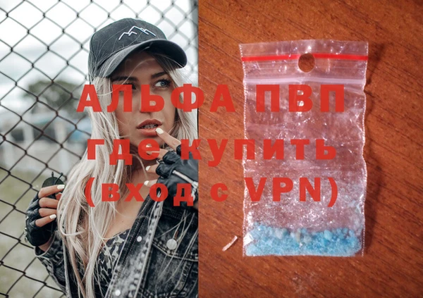 хмурый Алексин