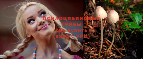 прущие грибы Алзамай