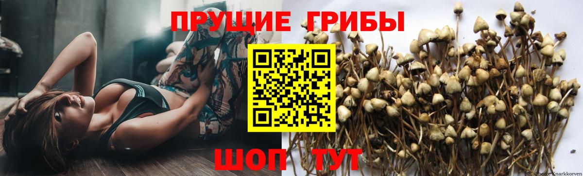 Галлюциногенные грибы мицелий  Вход с VPN  Сибай 